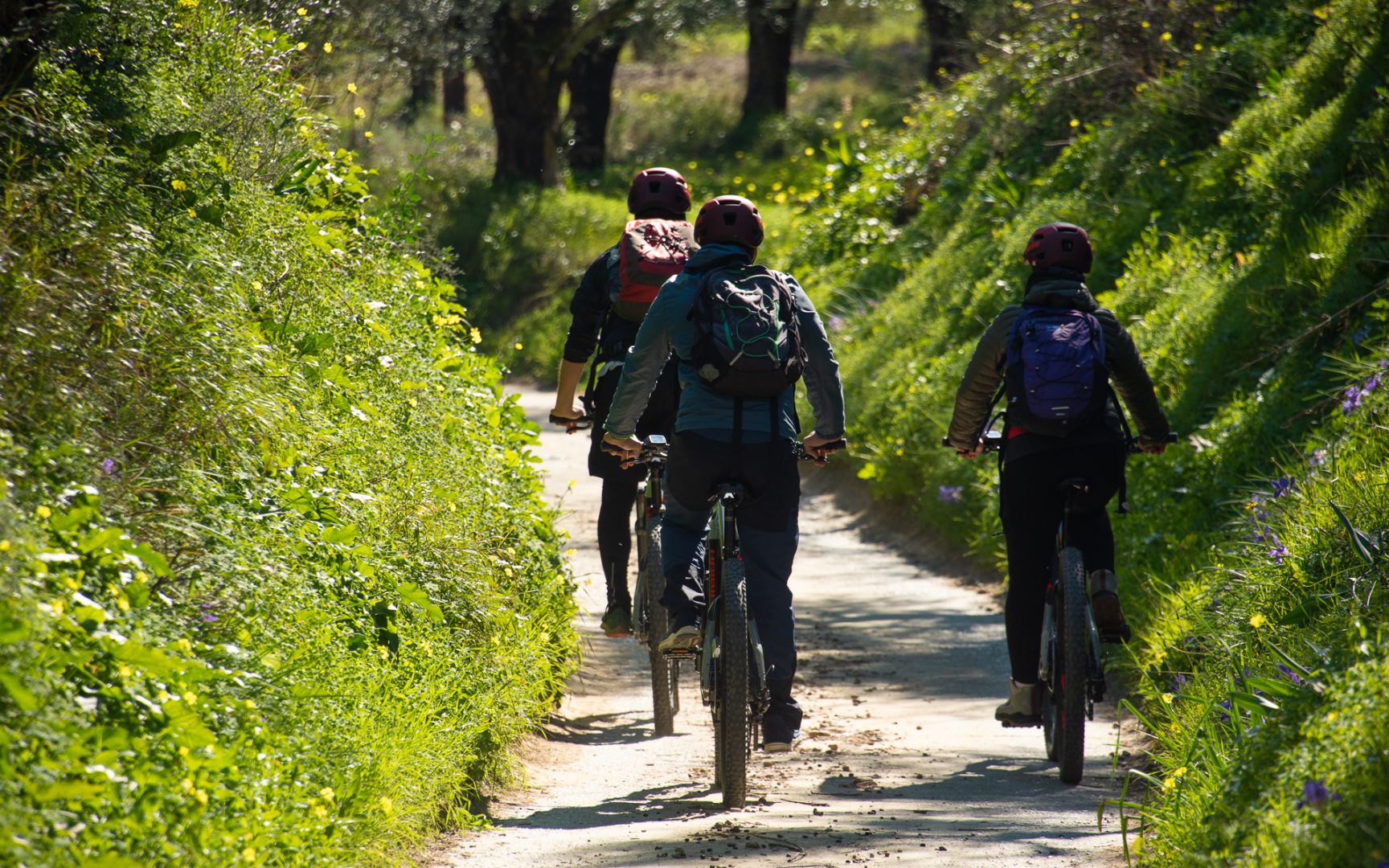 E-bike-Kalamata-87945-1