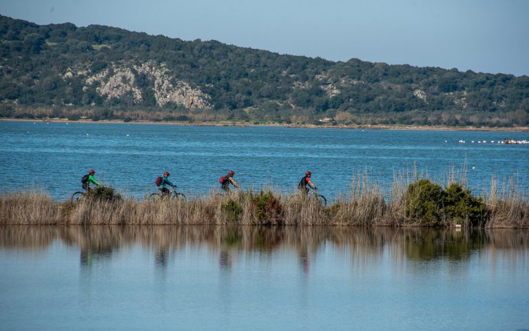 Explore-Messinia-e-Bike-Navarino-88616