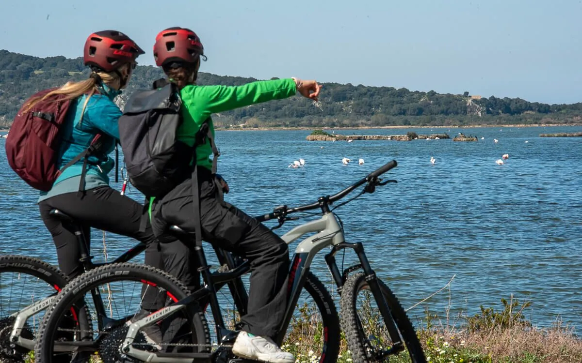 Explore-Messinia-e-Bike-Navarino-88665