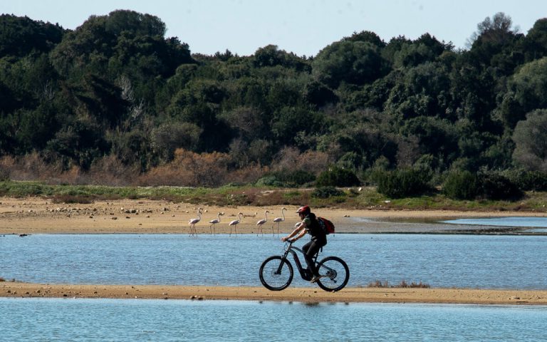 Explore-Messinia-e-Bike-Navarino-88671