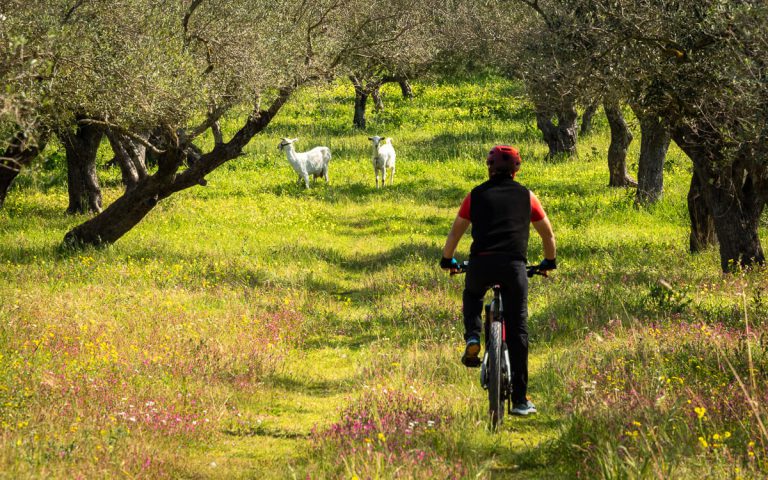Explore-Messinia-e-Bike-Navarino-88721