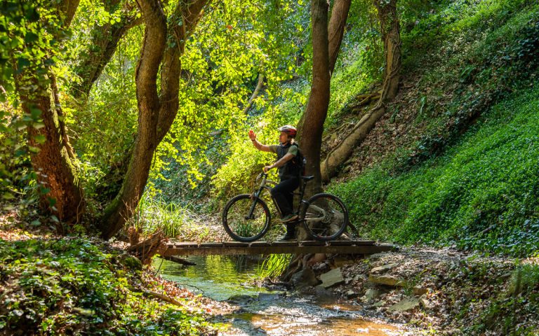 Explore-Messinia-e-Bike-Navarino-88764