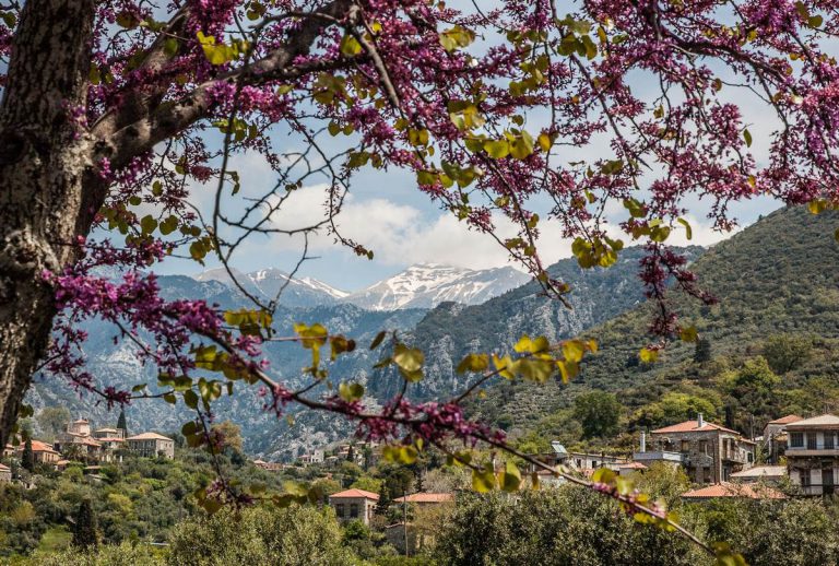 Hiking-Kardamyli-2128