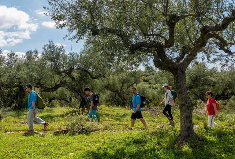 Hiking-Kardamyli-3085