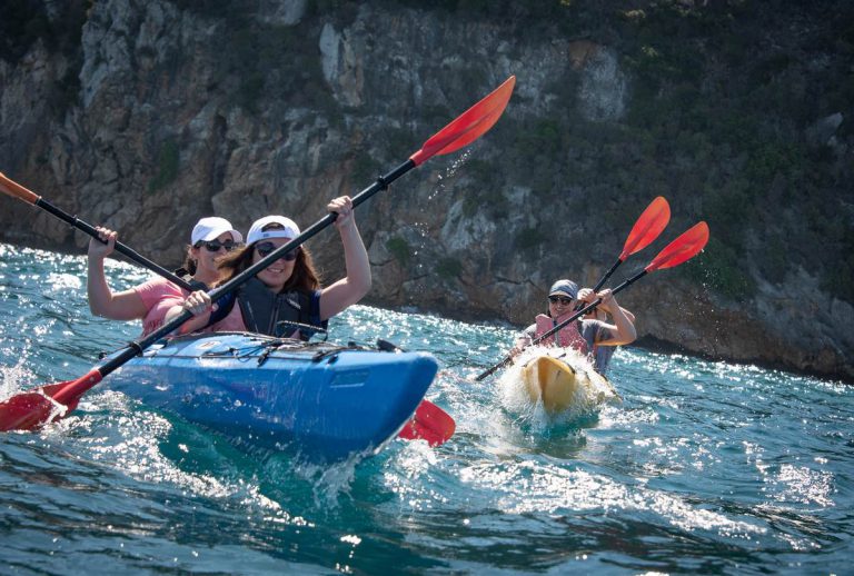 Sea-Kayak-Navarino-13-2